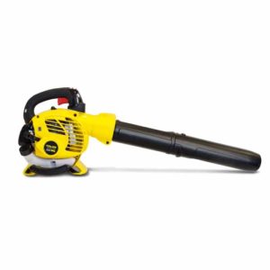Talon Petrol Blower 2 stroke 26cm